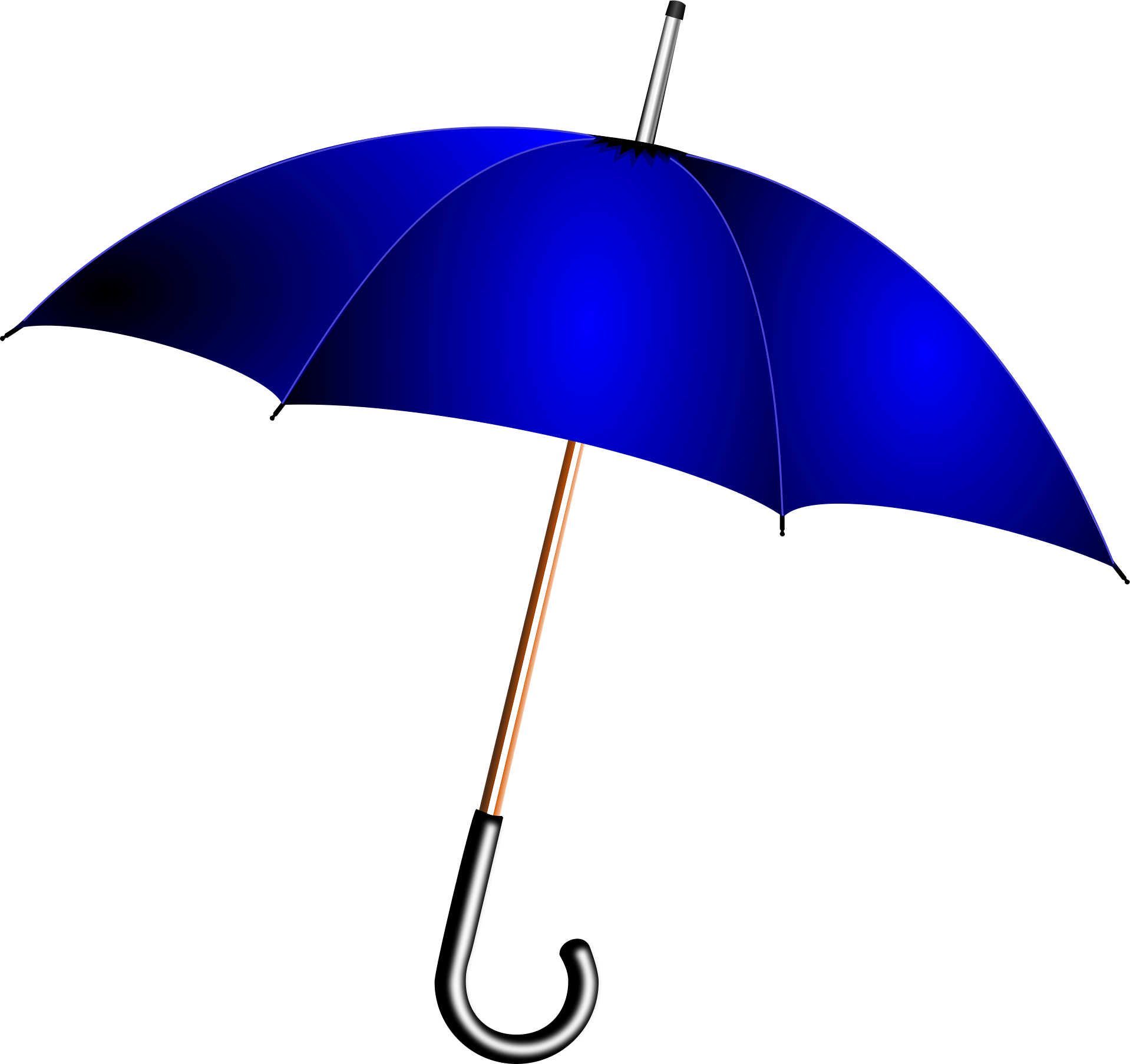 ©Pixaby openclipart-vectors-umbrella-158164_1920