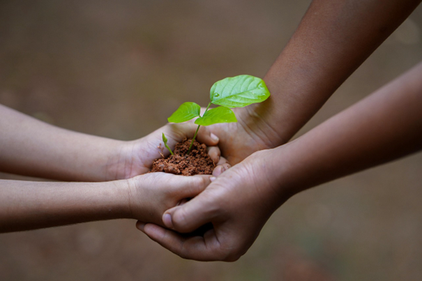 © https://pixabay.com/photos/hands-soil-plant-environment-5618240/
