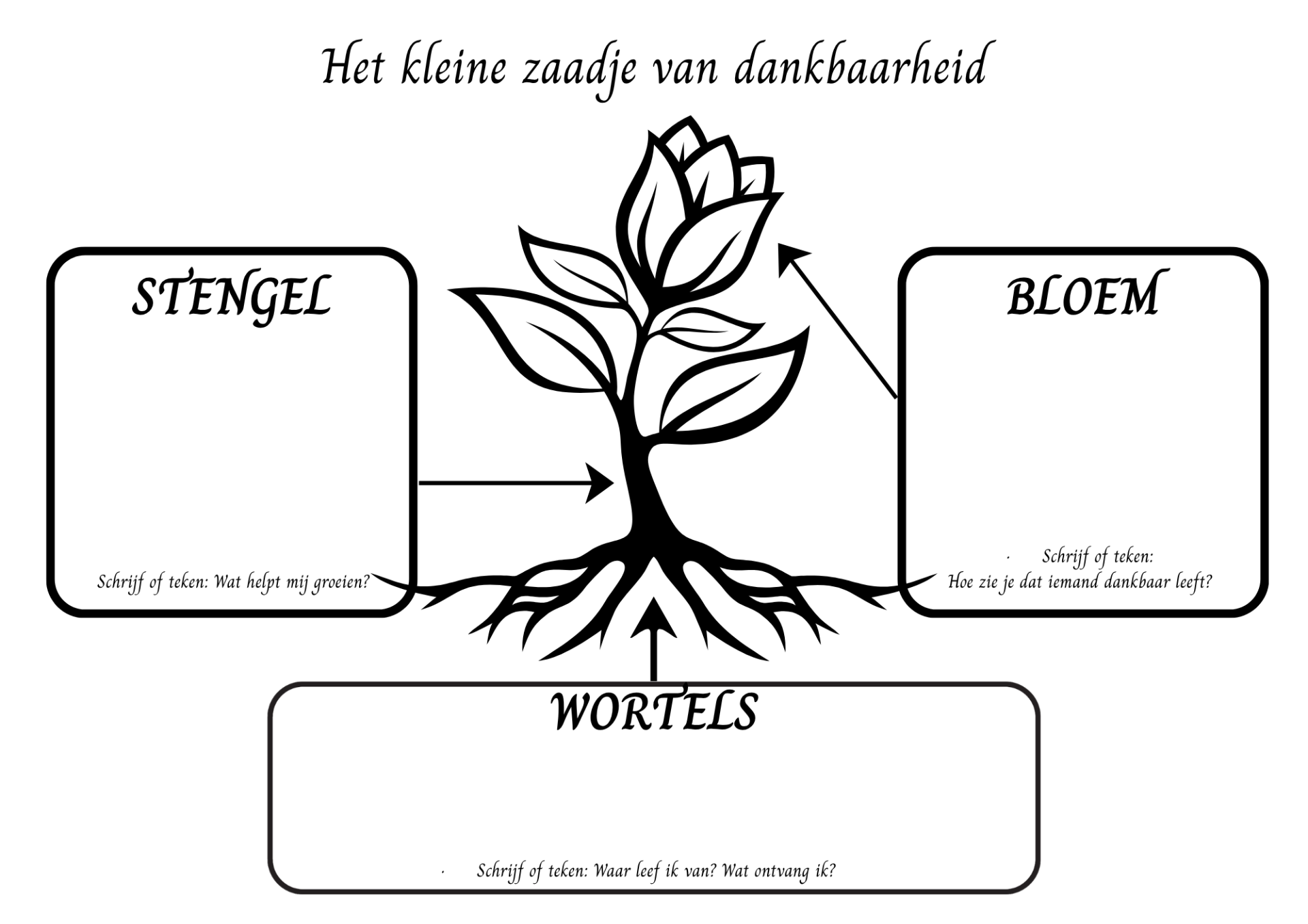 PDF - Het kleine zaadje van dankbaarheid
